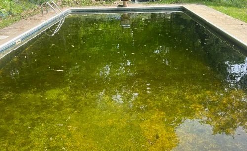 professional-pool-opening-closing-expectations-v0-zhybld69k02d1